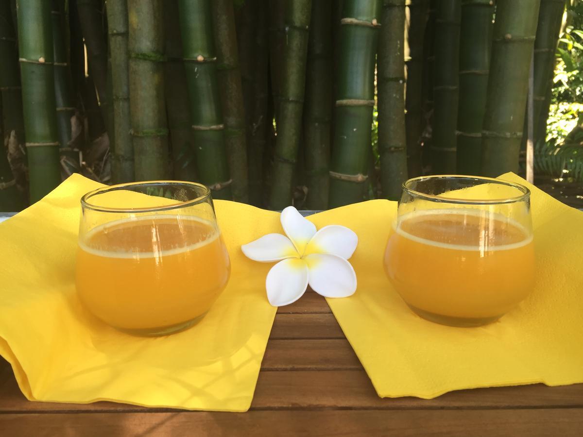 Le Lambablanc Bed & Breakfast Bras-Panon Luaran gambar